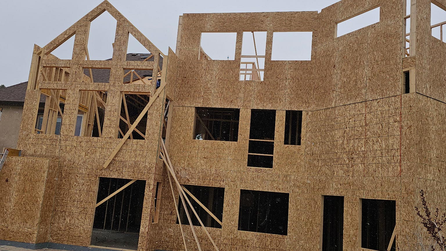 New home framing and sheathing on a Denver-metro job site